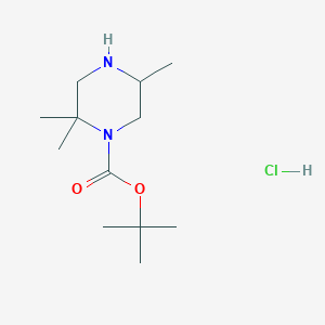 molecular formula C12H25ClN2O2 B2453494 Tert-butyl 2,2,5-trimethylpiperazine-1-carboxylate;hydrochloride CAS No. 2411284-78-9