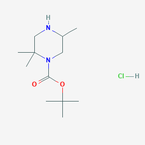 Tert-butyl 2,2,5-trimethylpiperazine-1-carboxylate;hydrochloride