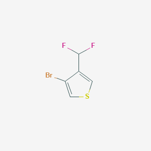 molecular formula C5H3BrF2S B2453499 3-Bromo-4-(difluoromethyl)thiophene CAS No. 1784977-09-8