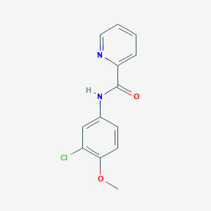 molecular formula C13H11ClN2O2 B2454200 N-(3-chloro-4-methoxyphenyl)pyridine-2-carboxamide CAS No. 794581-34-3