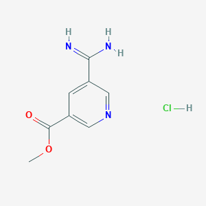 molecular formula C8H10ClN3O2 B2455552 Methyl 5-carbamimidoylpyridine-3-carboxylate hydrochloride CAS No. 2059988-28-0