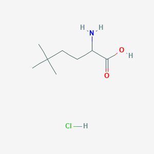 2-Amino-5,5-dimethylhexanoic acid hydrochloride