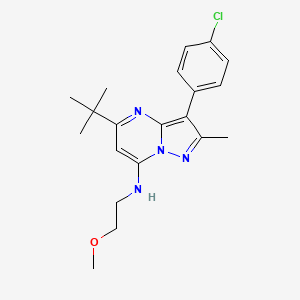 molecular formula C20H25ClN4O B2458201 5-tert-butyl-3-(4-chlorophenyl)-N-(2-methoxyethyl)-2-methylpyrazolo[1,5-a]pyrimidin-7-amine CAS No. 850762-74-2