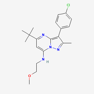 5-tert-butyl-3-(4-chlorophenyl)-N-(2-methoxyethyl)-2-methylpyrazolo[1,5-a]pyrimidin-7-amine