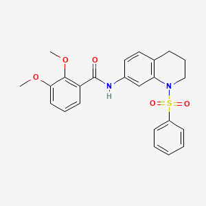 molecular formula C24H24N2O5S B2458724 N-[1-(benzenesulfonyl)-1,2,3,4-tetrahydroquinolin-7-yl]-2,3-dimethoxybenzamide CAS No. 1005301-35-8