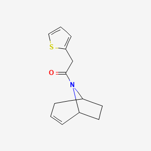 molecular formula C13H15NOS B2459192 1-{8-azabicyclo[3.2.1]oct-2-en-8-yl}-2-(thiophen-2-yl)ethan-1-one CAS No. 1706275-92-4