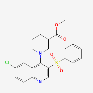 molecular formula C23H23ClN2O4S B2459556 ethyl 1-[3-(benzenesulfonyl)-6-chloroquinolin-4-yl]piperidine-3-carboxylate CAS No. 866812-91-1