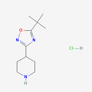 4-(5-tert-Butyl-1,2,4-oxadiazol-3-yl)piperidine hydrochloride