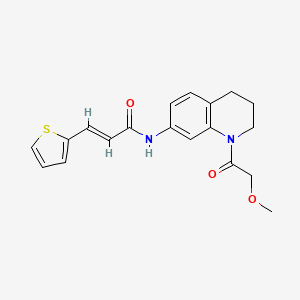 (E)-N-(1-(2-methoxyacetyl)-1,2,3,4-tetrahydroquinolin-7-yl)-3-(thiophen-2-yl)acrylamide