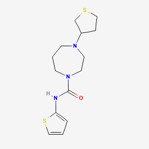 molecular formula C14H21N3OS2 B2463445 4-(tetrahydrothiophen-3-yl)-N-(thiophen-2-yl)-1,4-diazepane-1-carboxamide CAS No. 2320212-61-9