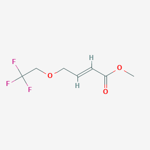 molecular formula C7H9F3O3 B2463450 甲基 4-(2,2,2-三氟乙氧基)丁-2-烯酸酯 CAS No. 1864760-24-6