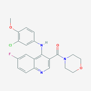 molecular formula C21H19ClFN3O3 B2463778 N-(3-CHLORO-4-METHOXYPHENYL)-6-FLUORO-3-(MORPHOLINE-4-CARBONYL)QUINOLIN-4-AMINE CAS No. 1326839-99-9
