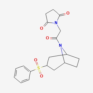 molecular formula C19H22N2O5S B2465624 1-(2-oxo-2-((1R,5S)-3-(phenylsulfonyl)-8-azabicyclo[3.2.1]octan-8-yl)ethyl)pyrrolidine-2,5-dione CAS No. 1448058-39-6