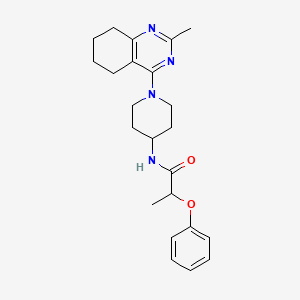 molecular formula C23H30N4O2 B2466119 N-[1-(2-methyl-5,6,7,8-tetrahydroquinazolin-4-yl)piperidin-4-yl]-2-phenoxypropanamide CAS No. 1903850-12-3