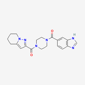 B2466163 (4-(1H-benzo[d]imidazole-5-carbonyl)piperazin-1-yl)(4,5,6,7-tetrahydropyrazolo[1,5-a]pyridin-2-yl)methanone CAS No. 1904156-81-5