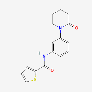 molecular formula C16H16N2O2S B2466314 N-[3-(2-oxopiperidin-1-yl)phenyl]thiophene-2-carboxamide CAS No. 941919-16-0