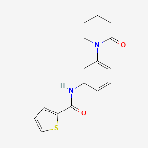 N-[3-(2-oxopiperidin-1-yl)phenyl]thiophene-2-carboxamide