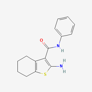 2-amino-N-phenyl-4,5,6,7-tetrahydro-1-benzothiophene-3-carboxamide
