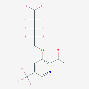 1-[3-[(2,2,3,3,4,4,5,5-Octafluoropentyl)oxy]-5-(trifluoromethyl)-2-pyridinyl]-1-ethanone