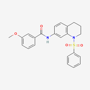 molecular formula C23H22N2O4S B2467762 N-[1-(benzenesulfonyl)-1,2,3,4-tetrahydroquinolin-7-yl]-3-methoxybenzamide CAS No. 1005299-45-5