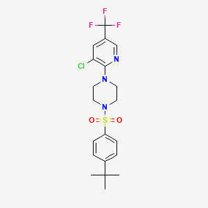 1-(4-Tert-butylphenyl)sulfonyl-4-[3-chloro-5-(trifluoromethyl)pyridin-2-yl]piperazine