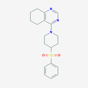 4-[4-(Benzenesulfonyl)piperidin-1-yl]-5,6,7,8-tetrahydroquinazoline