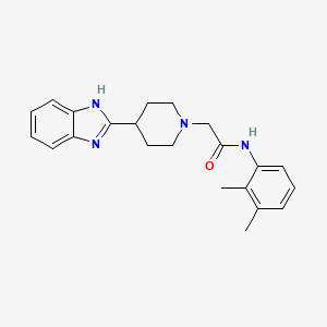 2-[4-(1H-benzimidazol-2-yl)piperidin-1-yl]-N-(2,3-dimethylphenyl)acetamide