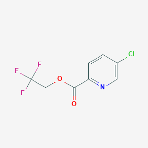 2,2,2-Trifluoroethyl 5-chloropyridine-2-carboxylate