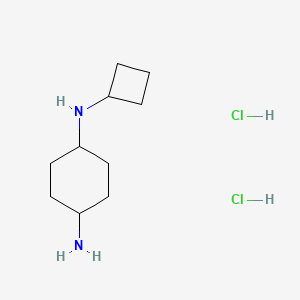 (1R*,4R*)-N1-Cyclobutylcyclohexane-1,4-diamine dihydrochloride