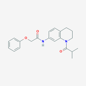 molecular formula C21H24N2O3 B2475039 N-[1-(2-methylpropanoyl)-1,2,3,4-tetrahydroquinolin-7-yl]-2-phenoxyacetamide CAS No. 1005301-15-4