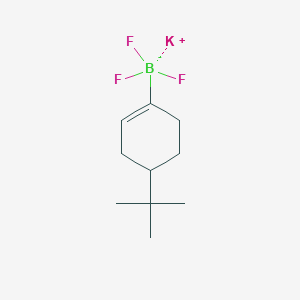 B2475721 Potassium (4-tert-butylcyclohex-1-en-1-yl)trifluoroborate CAS No. 945760-93-0