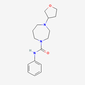 molecular formula C16H23N3O2 B2476988 N-苯基-4-(四氢呋喃-3-基)-1,4-二氮杂环戊烷-1-甲酰胺 CAS No. 2310102-23-7