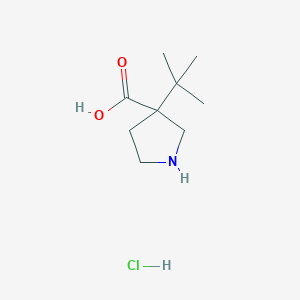 3-Tert-butylpyrrolidine-3-carboxylic acid;hydrochloride