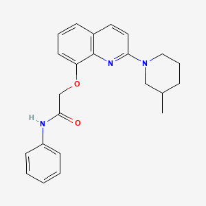 2-((2-(3-methylpiperidin-1-yl)quinolin-8-yl)oxy)-N-phenylacetamide