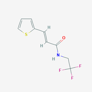 (E)-3-(thiophen-2-yl)-N-(2,2,2-trifluoroethyl)acrylamide