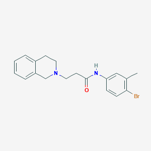 molecular formula C19H21BrN2O B248102 N-(4-bromo-3-methylphenyl)-3-(3,4-dihydro-1H-isoquinolin-2-yl)propanamide 