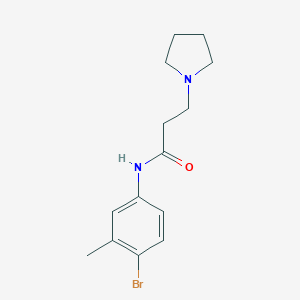 molecular formula C14H19BrN2O B248115 N-(4-bromo-3-methylphenyl)-3-(pyrrolidin-1-yl)propanamide 
