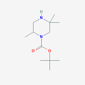 molecular formula C12H24N2O2 B2481307 Tert-butyl 2,5,5-trimethylpiperazine-1-carboxylate CAS No. 308109-96-8