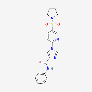 molecular formula C19H19N5O3S B2482341 N-PHENYL-1-[5-(PYRROLIDINE-1-SULFONYL)PYRIDIN-2-YL]-1H-IMIDAZOLE-4-CARBOXAMIDE CAS No. 1251598-27-2