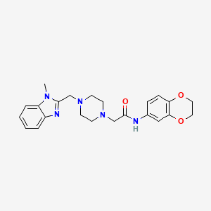 molecular formula C23H27N5O3 B2483222 N-(2,3-dihydro-1,4-benzodioxin-6-yl)-2-{4-[(1-methyl-1H-1,3-benzodiazol-2-yl)methyl]piperazin-1-yl}acetamide CAS No. 1170631-25-0