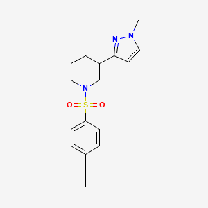 1-((4-(tert-butyl)phenyl)sulfonyl)-3-(1-methyl-1H-pyrazol-3-yl)piperidine