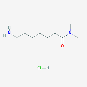 molecular formula C9H21ClN2O B2484636 7-Amino-N,N-dimethylheptanamide;hydrochloride CAS No. 2309476-54-6