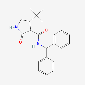 4-tert-butyl-N-(diphenylmethyl)-2-oxopyrrolidine-3-carboxamide