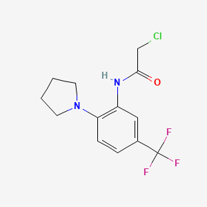 2-chloro-N-[2-(pyrrolidin-1-yl)-5-(trifluoromethyl)phenyl]acetamide