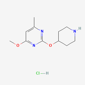 molecular formula C11H18ClN3O2 B2486206 4-Methoxy-6-methyl-2-(piperidin-4-yloxy)pyrimidine hydrochloride CAS No. 1779124-74-1