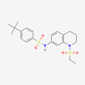 4-tert-butyl-N-[1-(ethylsulfonyl)-1,2,3,4-tetrahydroquinolin-7-yl]benzenesulfonamide