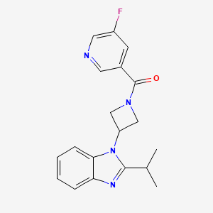 (5-Fluoropyridin-3-yl)-[3-(2-propan-2-ylbenzimidazol-1-yl)azetidin-1-yl]methanone