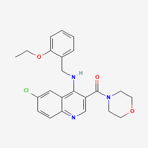 molecular formula C23H24ClN3O3 B2490828 {6-Chloro-4-[(2-ethoxybenzyl)amino]quinolin-3-yl}(morpholin-4-yl)methanone CAS No. 1326922-15-9