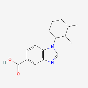 molecular formula C16H20N2O2 B2494283 1-(2,3-dimethylcyclohexyl)-1H-benzimidazole-5-carboxylic acid 