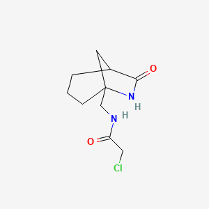 molecular formula C10H15ClN2O2 B2494619 2-Chloro-N-[(7-oxo-6-azabicyclo[3.2.1]octan-5-yl)methyl]acetamide CAS No. 2411289-33-1